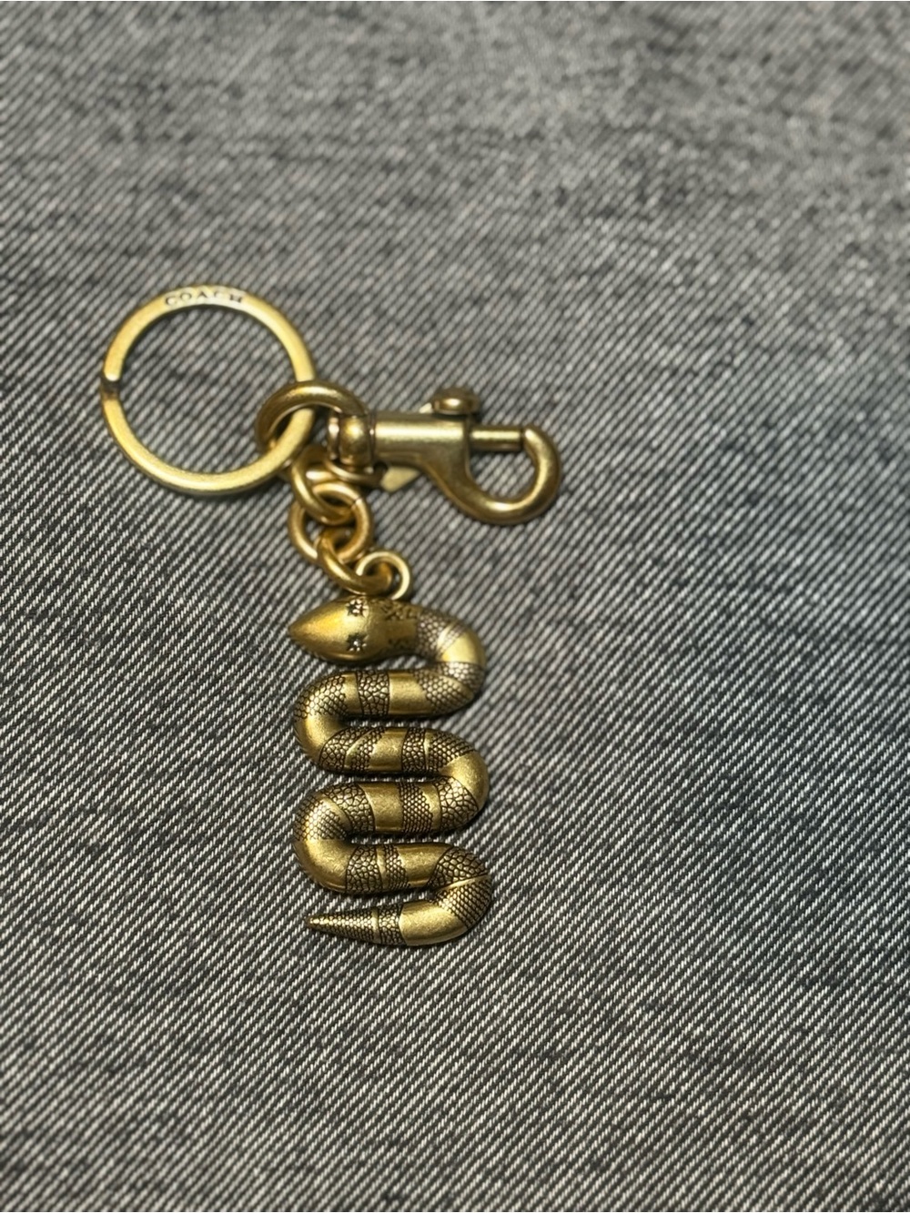Coach Lunar New Year Snake Charm